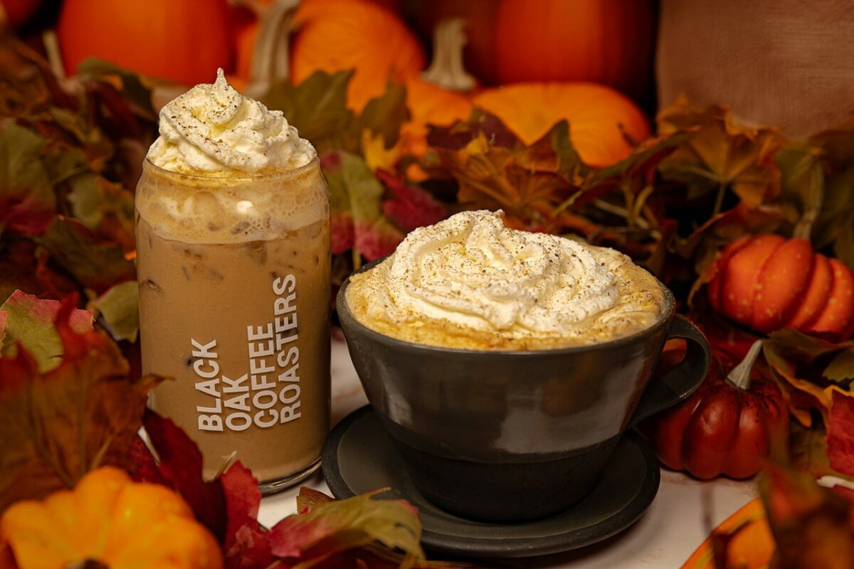 Pumpkin spice lattes from Black Oak Coffee Roasters