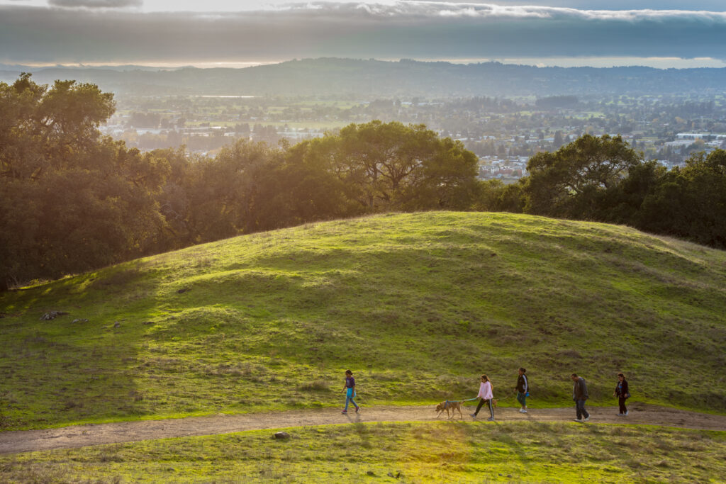 People walking at Taylor Mountain Regional Park in Santa Rosa. (Sonoma County Tourism)