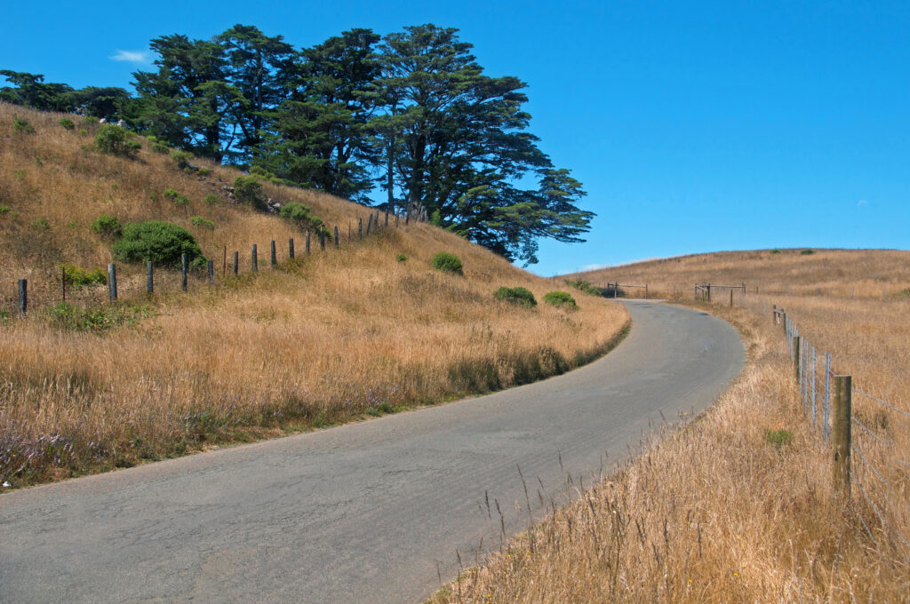 Coleman Valley Road in Occidental. (Sonoma County Tourism)