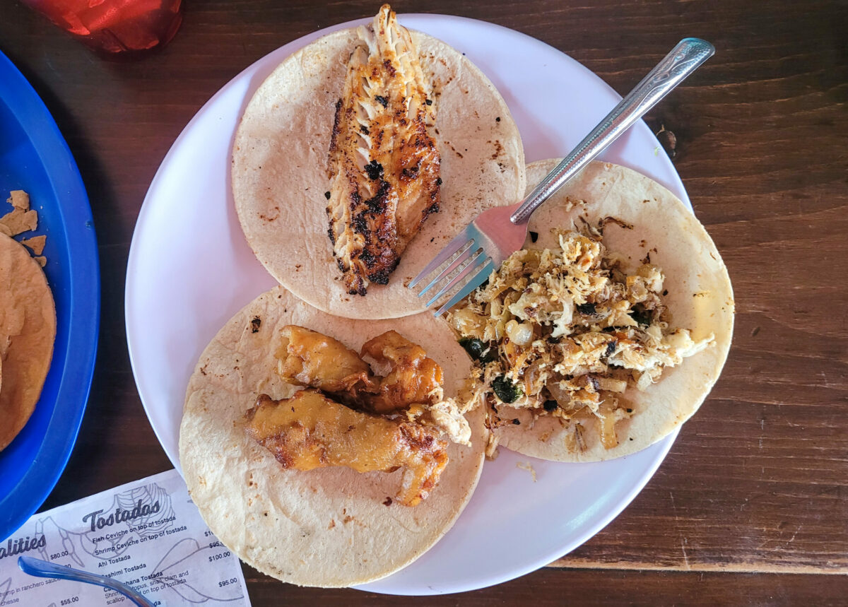 Fish and manta ray tacos at Mack Fisher in La Paz. (Heather Irwin/The Press Democrat)