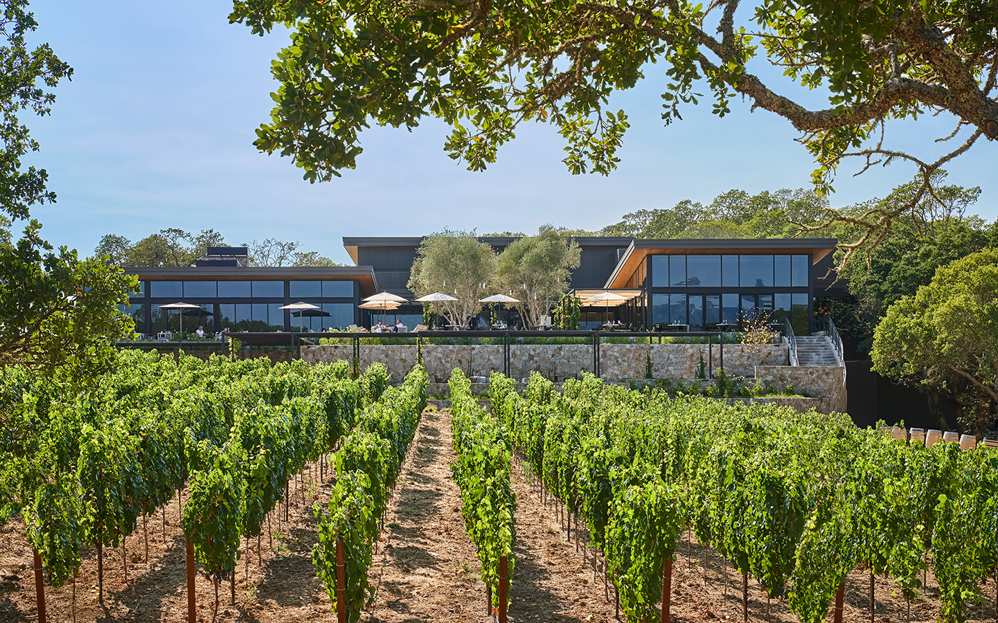 THE TOP 15 Things To Do in Napa & Sonoma