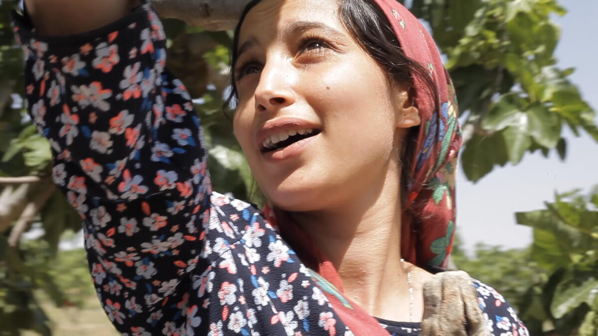 In rural Tunisia, among the trees, a day in the life of workers is explored through labor, conversation and flirtation in the feature “Under the Fig Trees.” 
