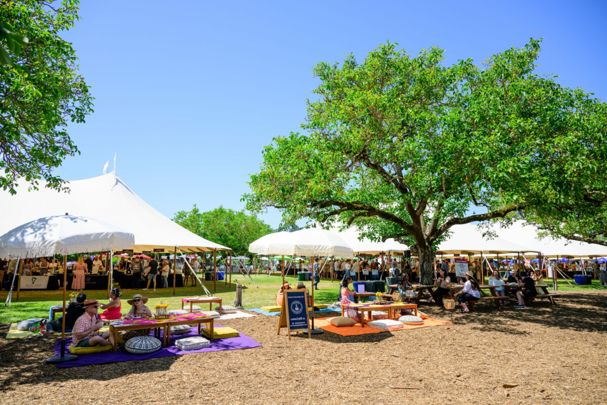 The annual Taste of Sonoma event in 2024. (Bob McClenahan / courtesy Taste of Sonoma)