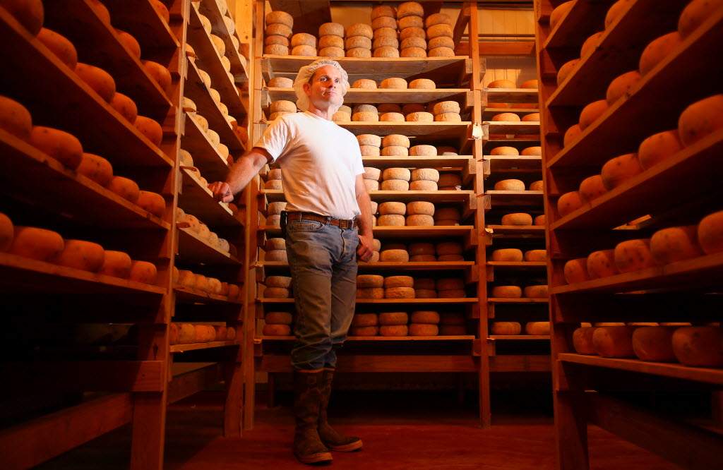 Liam Callahan, cheesemaker at Bellwether Farrms, took home five awards from the 2018 American Cheese Society Competition. (Christopher Chung/The Press Democrat)