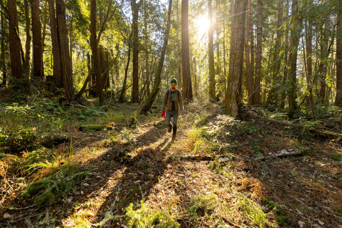 Sebastopol mushroom hunter Ryath Beauchene searches for fungi in Salt Point State Park Monday, January 23, 2023. (John Burgess/Sonoma Magazine)