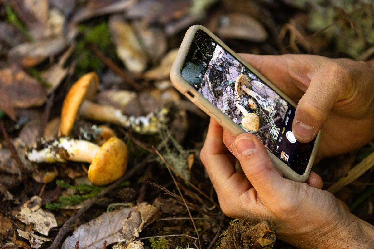 Sebastopol mushroom hunter Ryath Beauchene takes pictures of mushrooms for identification in Salt Point State Park Monday, January 23, 2023. (John Burgess/Sonoma Magazine)