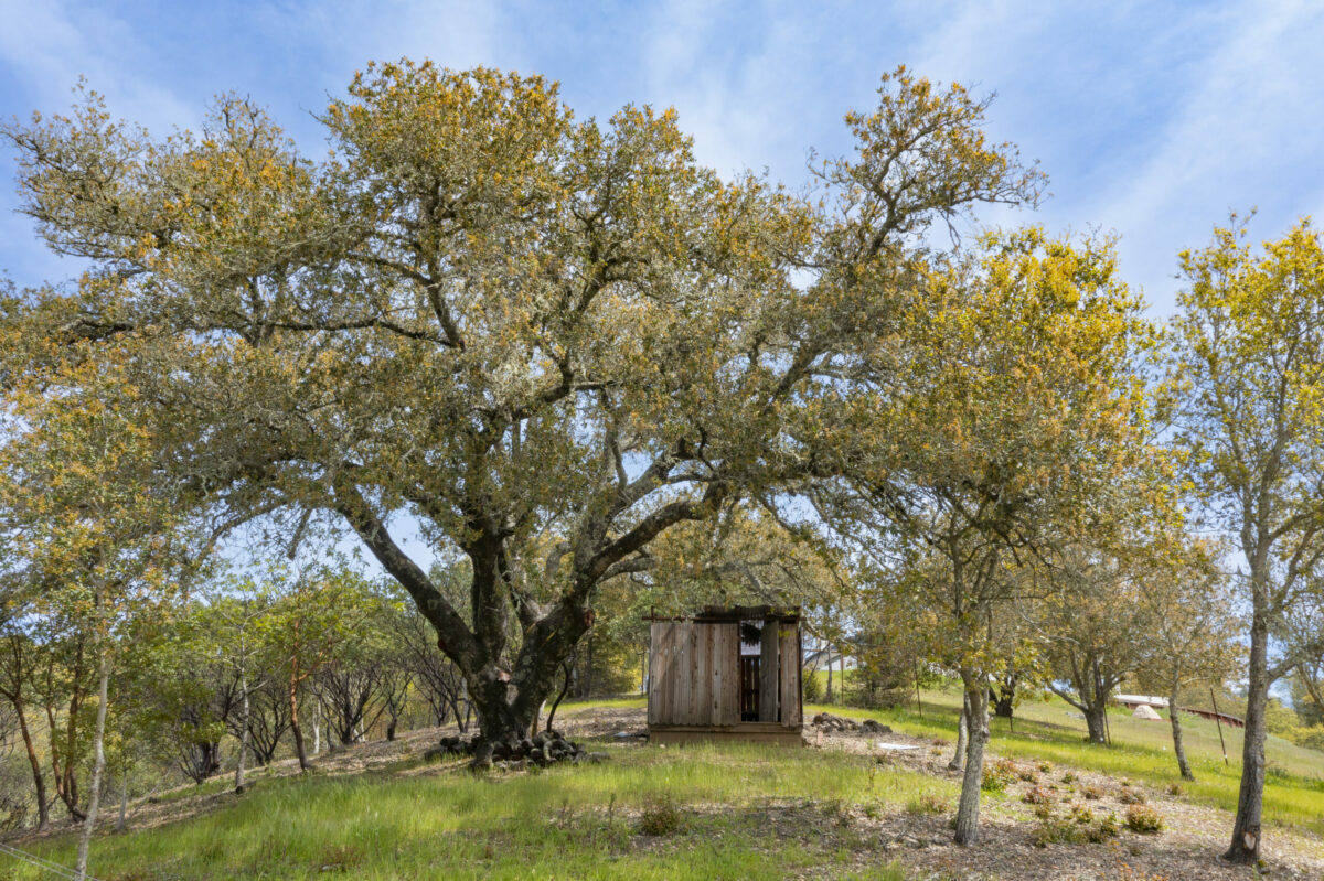 A quaint little shed sits on a hill above the property. IThe shed is meant for working, but also offers great sunset views, according to realtor Ryan Anderton. (Ted Boniz).