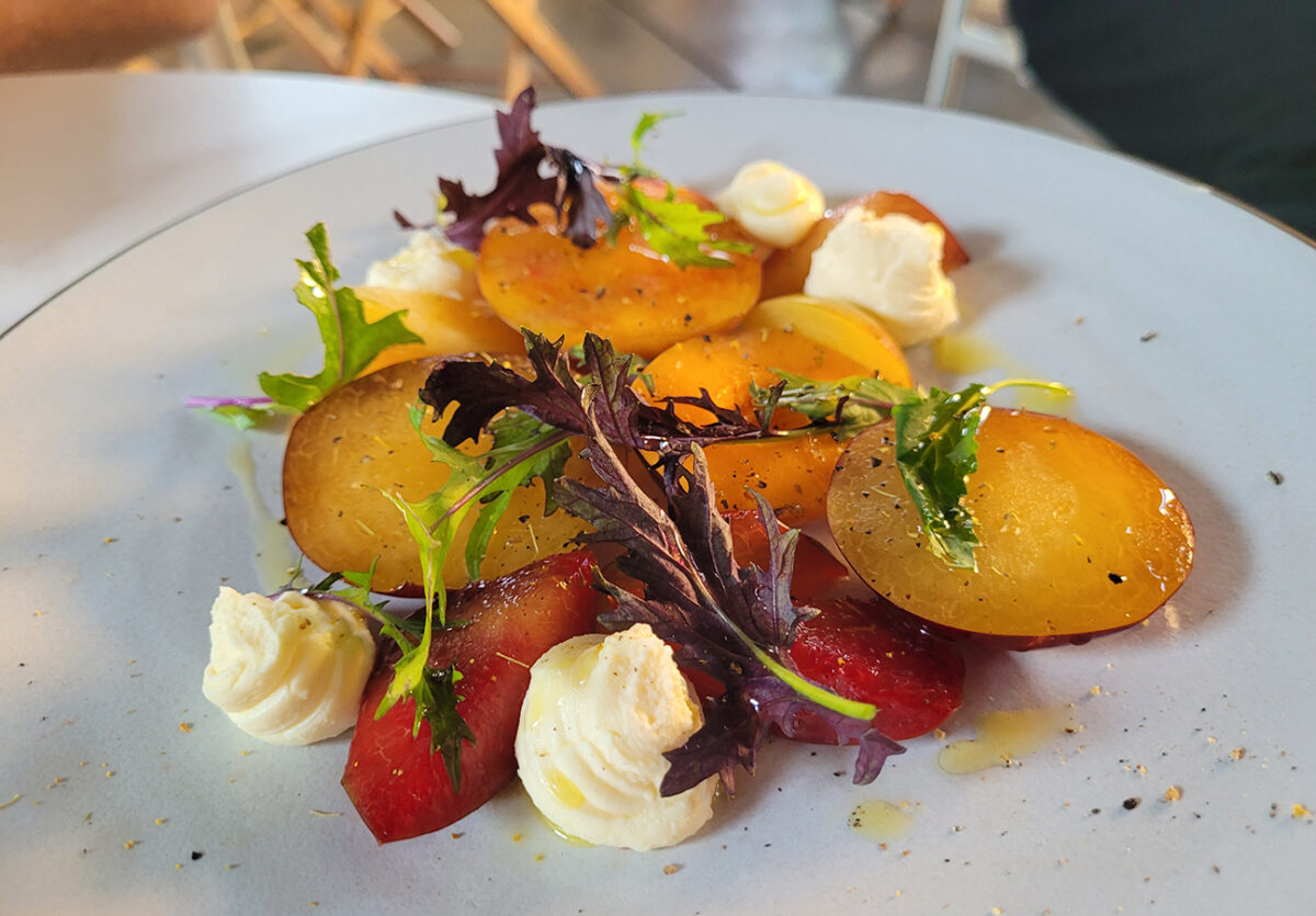 Stone fruit salad at Molti Amici in Healdsburg. (Heather Irwin)