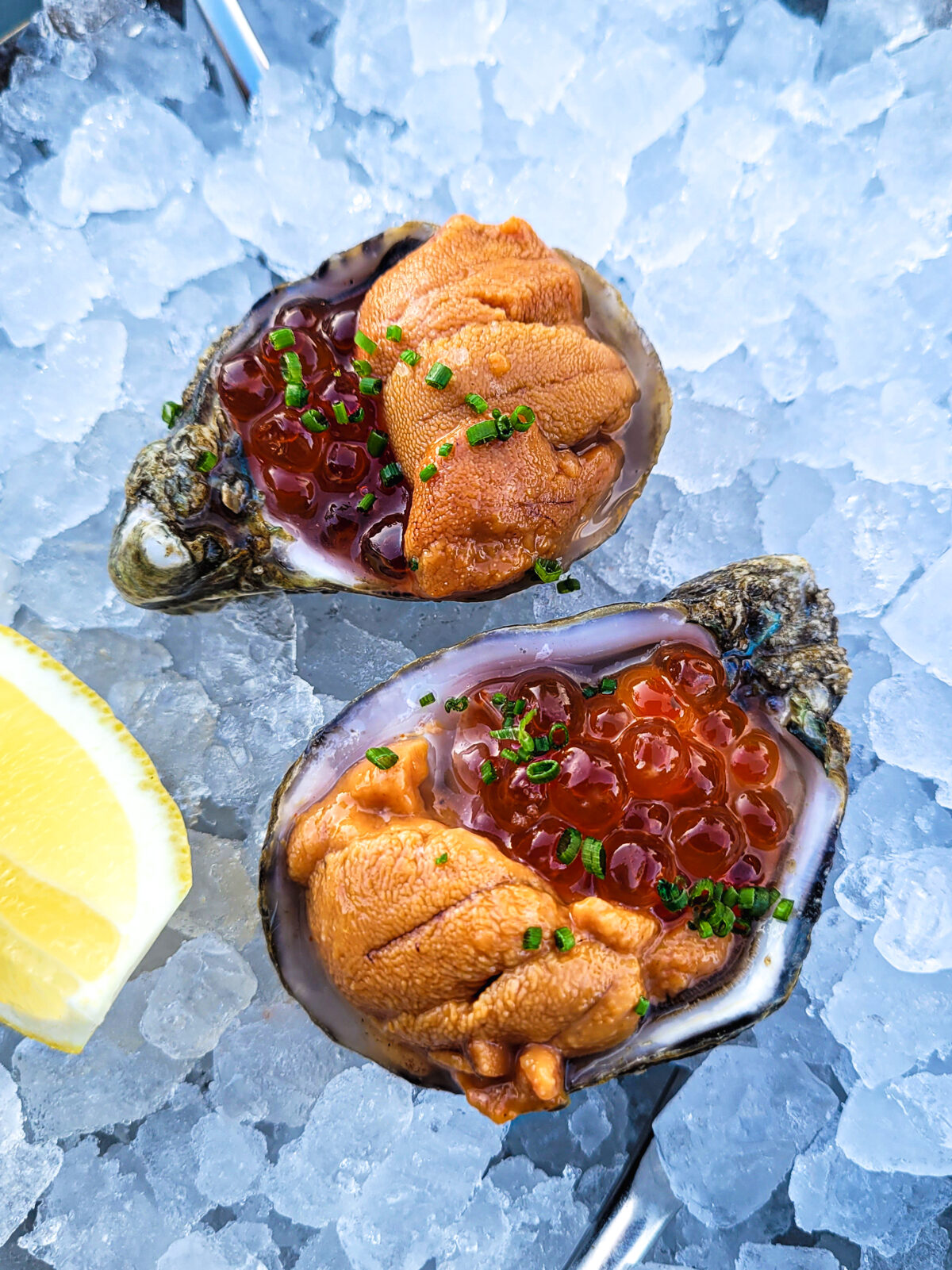 Salmon roe, uni and raw oyster at Oyster in Sebastopol. (Heather Irwin / Sonoma Magazine)