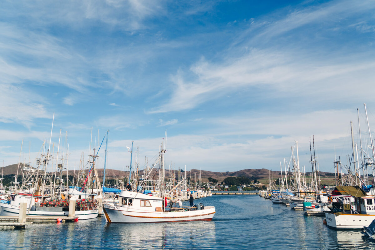 Spud Point Marina in Bodega Bay. (Mariah Harkey/Courtesy Sonoma County Tourism)
