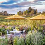 These are among the most beautiful properties in Wine Country, perfect for sipping wine and taking in the scenery. 