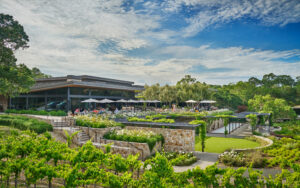 Guests at Montage Healdsburg can enjoy wines from the onsite vineyard, made by renowned winemaker Jesse Katz. (Montage Healdsburg) 