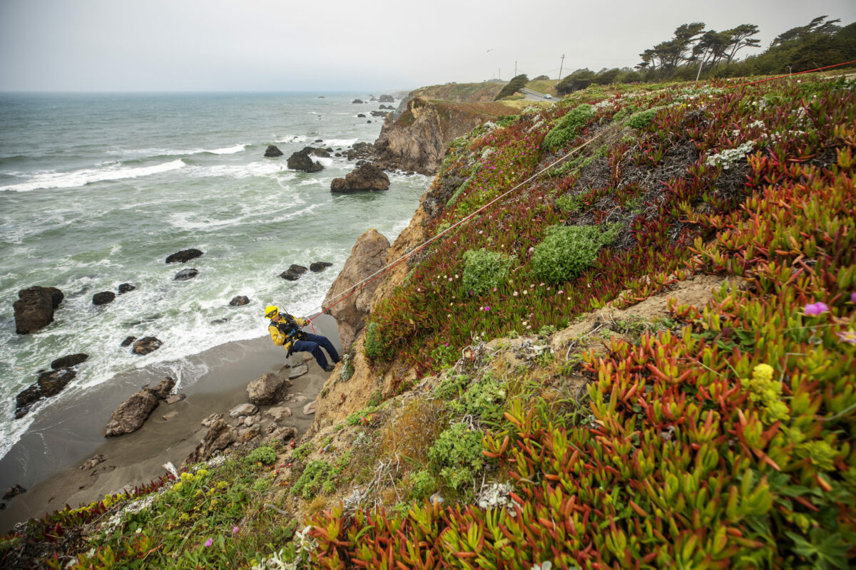 Sonoma County firefighter from Bodega Bay’s Station 10 trains in longline rescue techniques. (Chad Surmick / The Press Democrat)