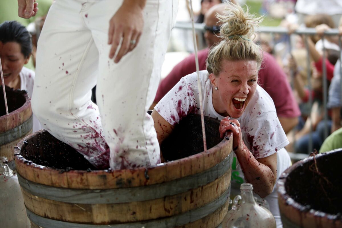 Ruin an outfit stomping grapes at the Sonoma County Harvest Fair. (Beth Schlanker/The Press Democrat)