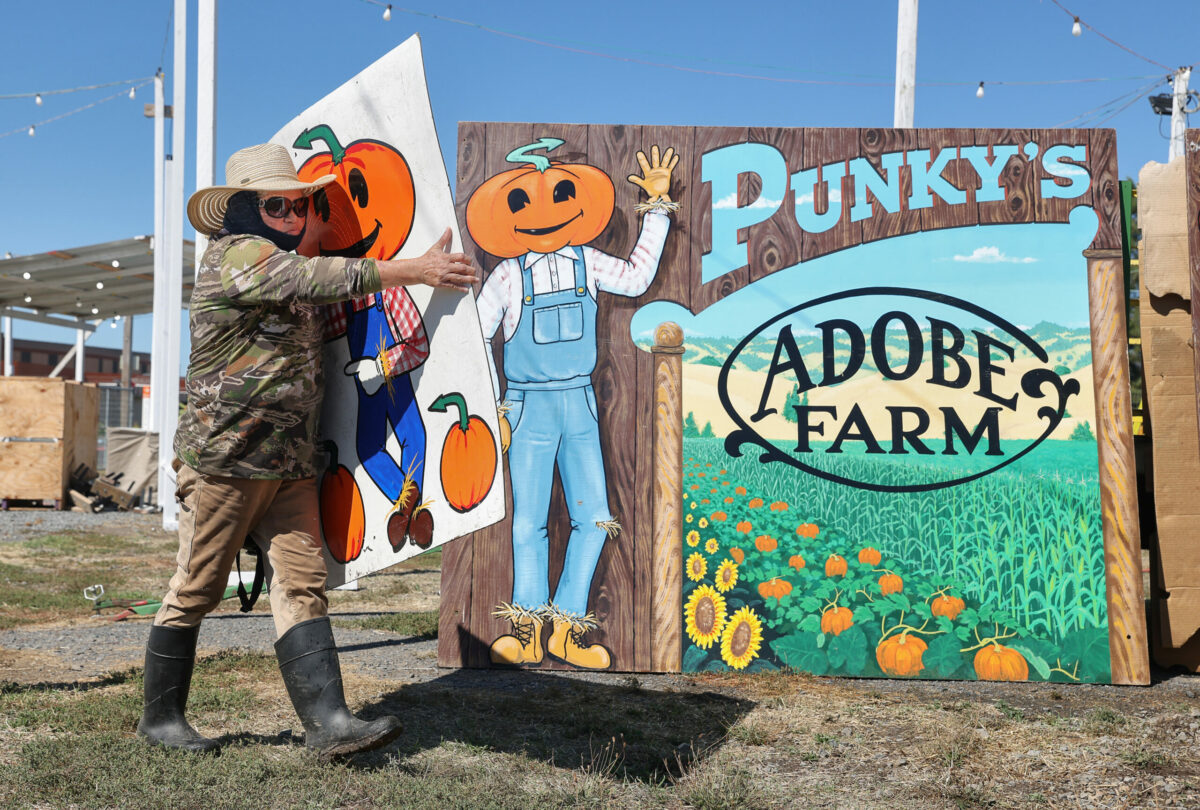 Alma Athel carries a sign in preparation for the opening of Punkys Pumpkins, this coming Saturday, in Santa Rosa on Monday, September 26, 2022. (Christopher Chung/The Press Democrat)