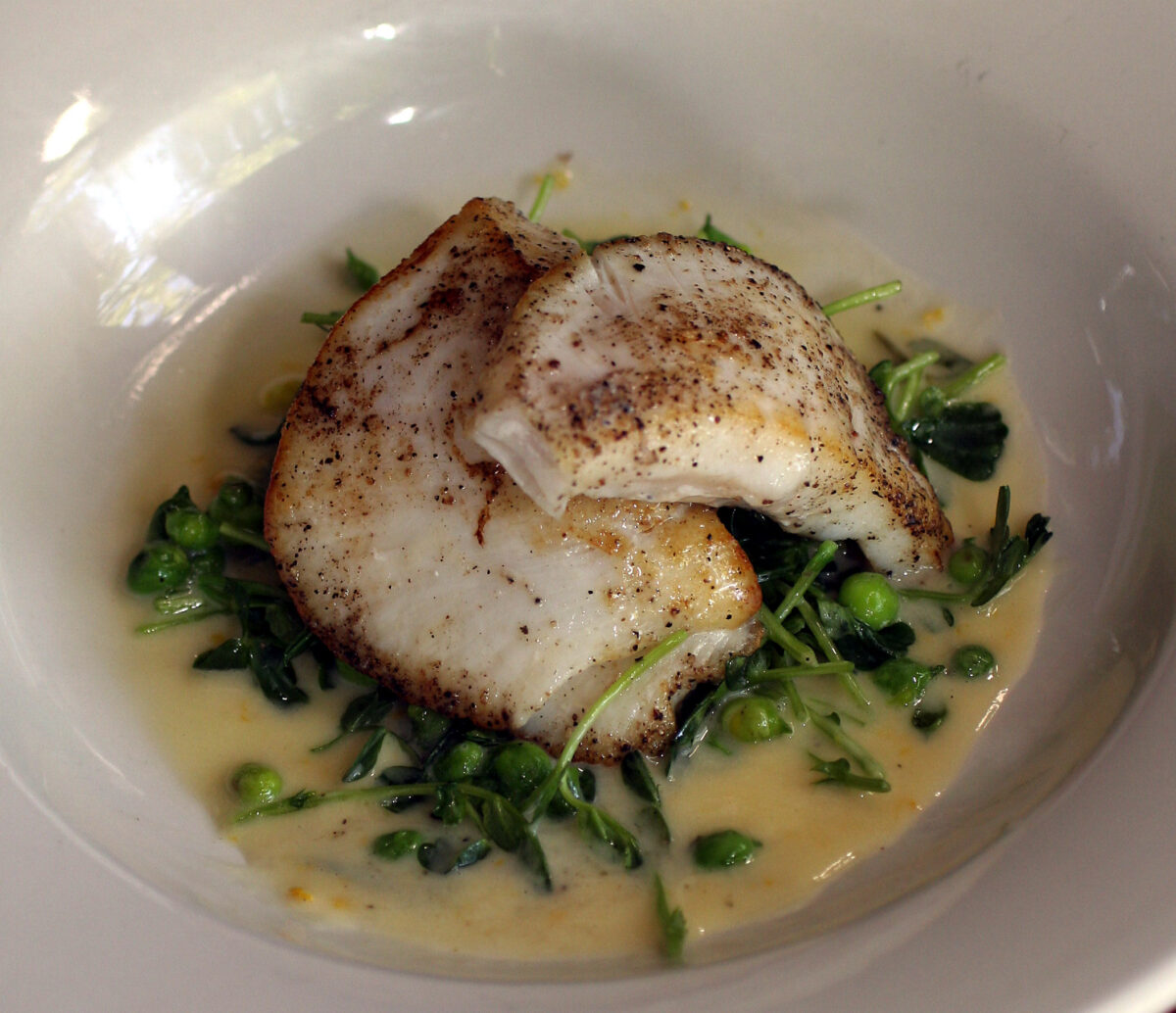 Halibut cheeks at Bistro Ralph, Healdsburg. April 17, 2008 (Jeff Kan Lee/The Press Democrat)