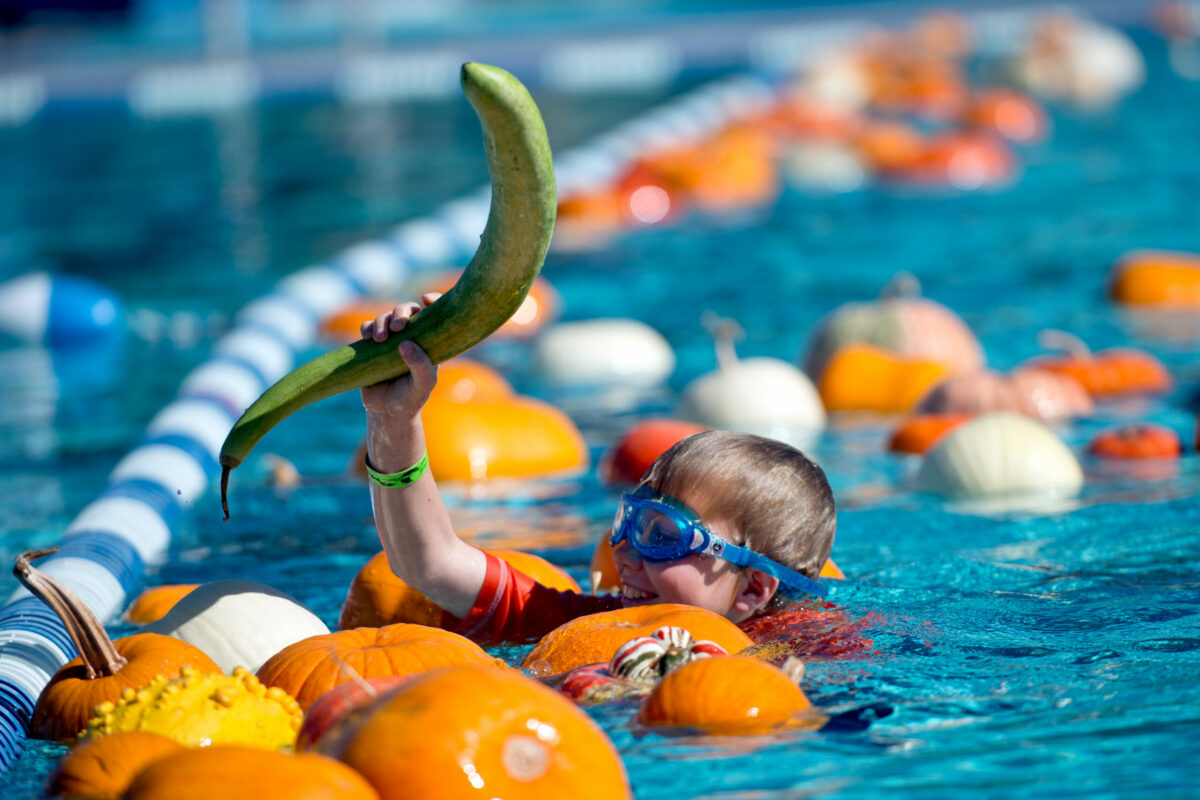 Freya Berglund, 9, picks up a long gourd floating among the pumpkins at Ridgeway Swim Center's annual floating pumpkin patch in Santa Rosa, Calif., on October 19, 2013. (Alvin Jornada / The Press Democrat)