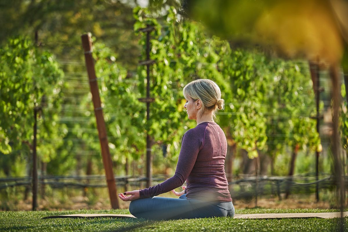 Meditation in the vineyards at Montage Healdsburg