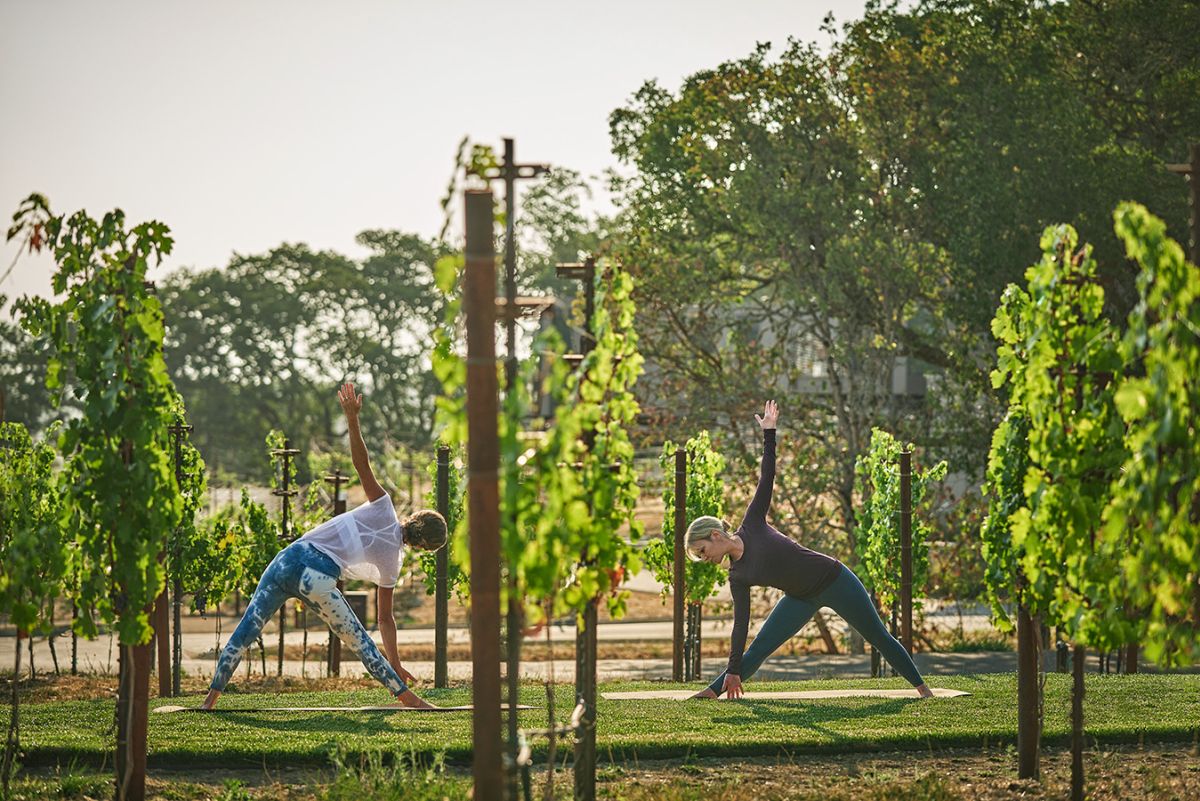 Yoga in vineyards at Montage Healdsburg