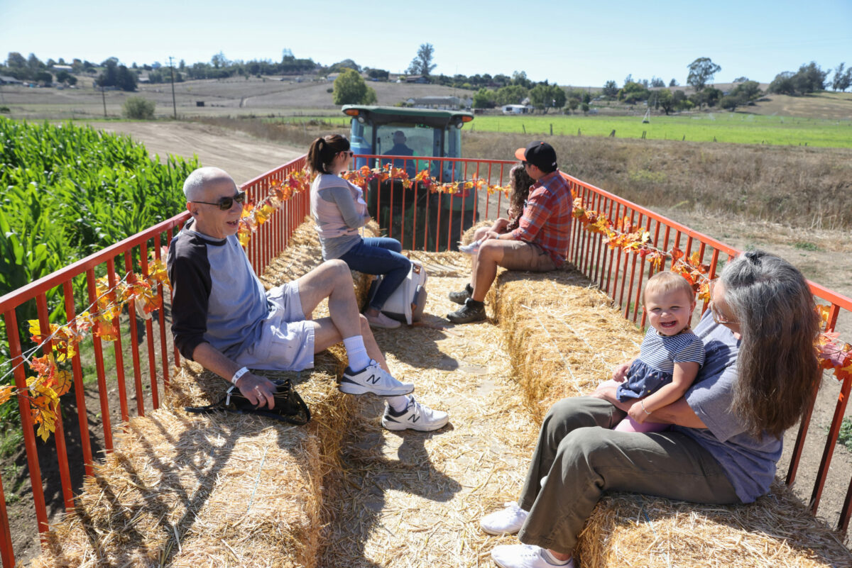 Mark Bauer, left, and Dawn Silva take a hay ride with their granddaughter Addie Alonzo at Santa Rosa Pumpkin Patch, west of Rohnert Park, on Tuesday, October 4, 2022. (Christopher Chung/The Press Democrat)