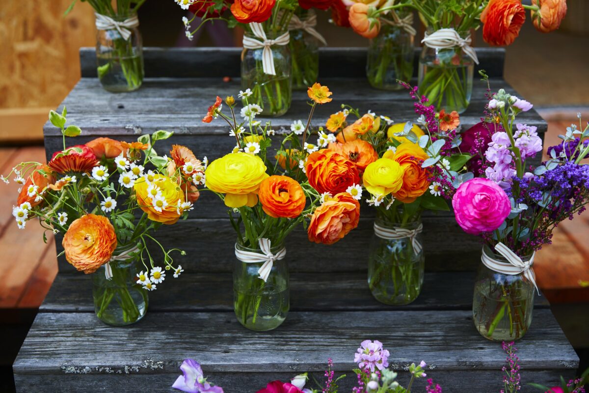Flowers from Tenfold Farmstand in Petaluma. (Tenfold Farmstand)