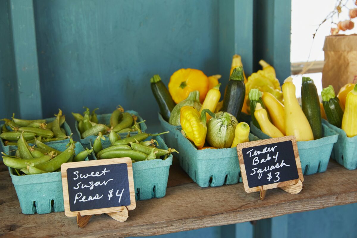 Catherine Clark started Tenfold in 2019 to provide organic vegetables and flowers to her community, and has seen the business grow quickly as locals clamor for her home-grown tomatoes, squash, herbs and flowers. (Tenfold Farmstand)