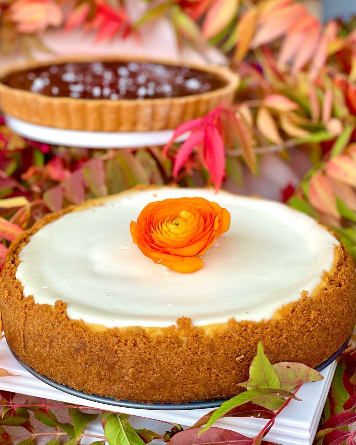 Pumpkin cheesecake
