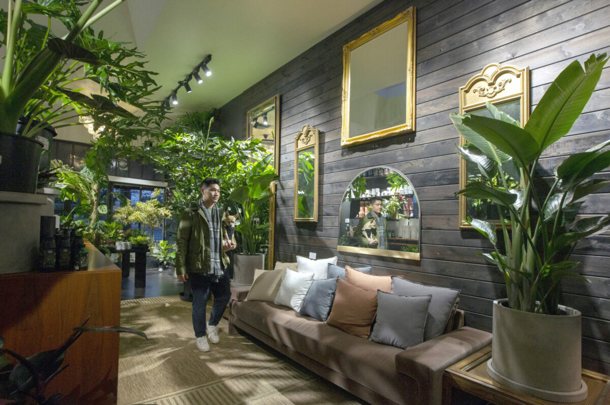 Sonoma Botanicals owner Lewis Deng and Frenchie stroll through the plant store on Broadway on Tuesday, 20 Dec. 2022. (Robbi Pengelly/Index-Tribune)