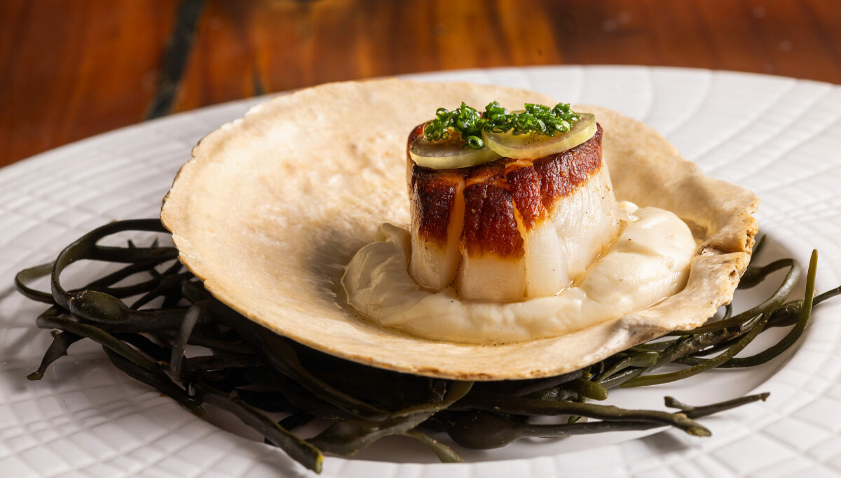 Seared Diver Scallop with cauliflower, grape and vanilla bean from the Dry Creek Kitchen Thursday, November 2, 2023 in Healdsburg. (John Burgess/The Press Democrat)