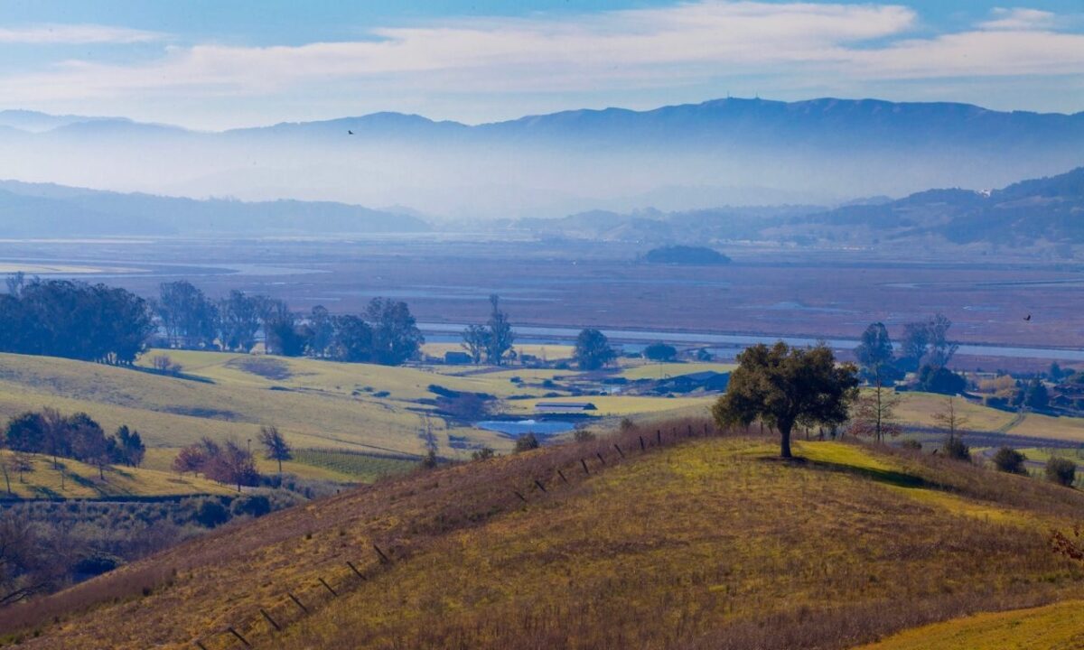 Tolay Lake Regional Park. (Robbi Pengelly/Sonoma Index-Tribune)