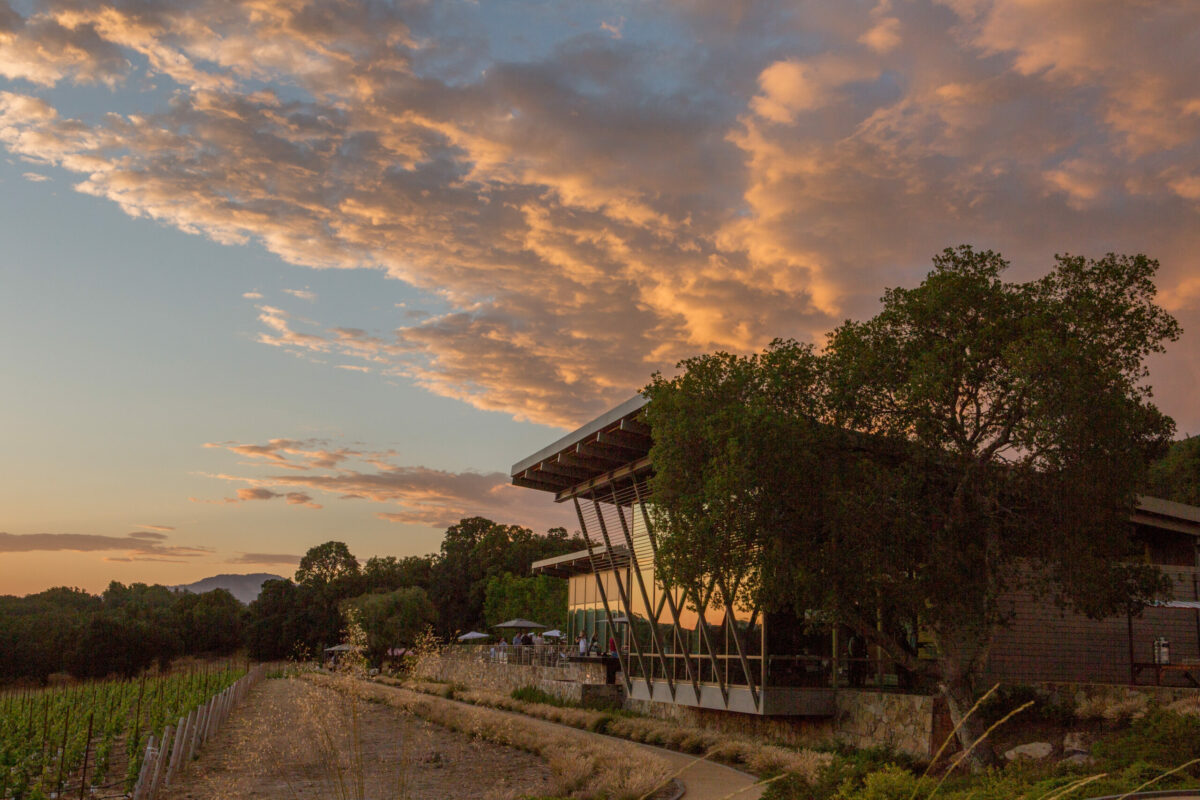 Best Sonoma wineries Hamel Family Wines