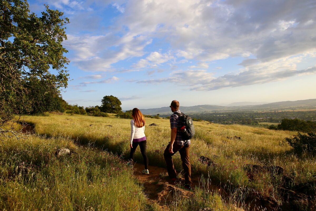 Courtesy of sonomavalley.com