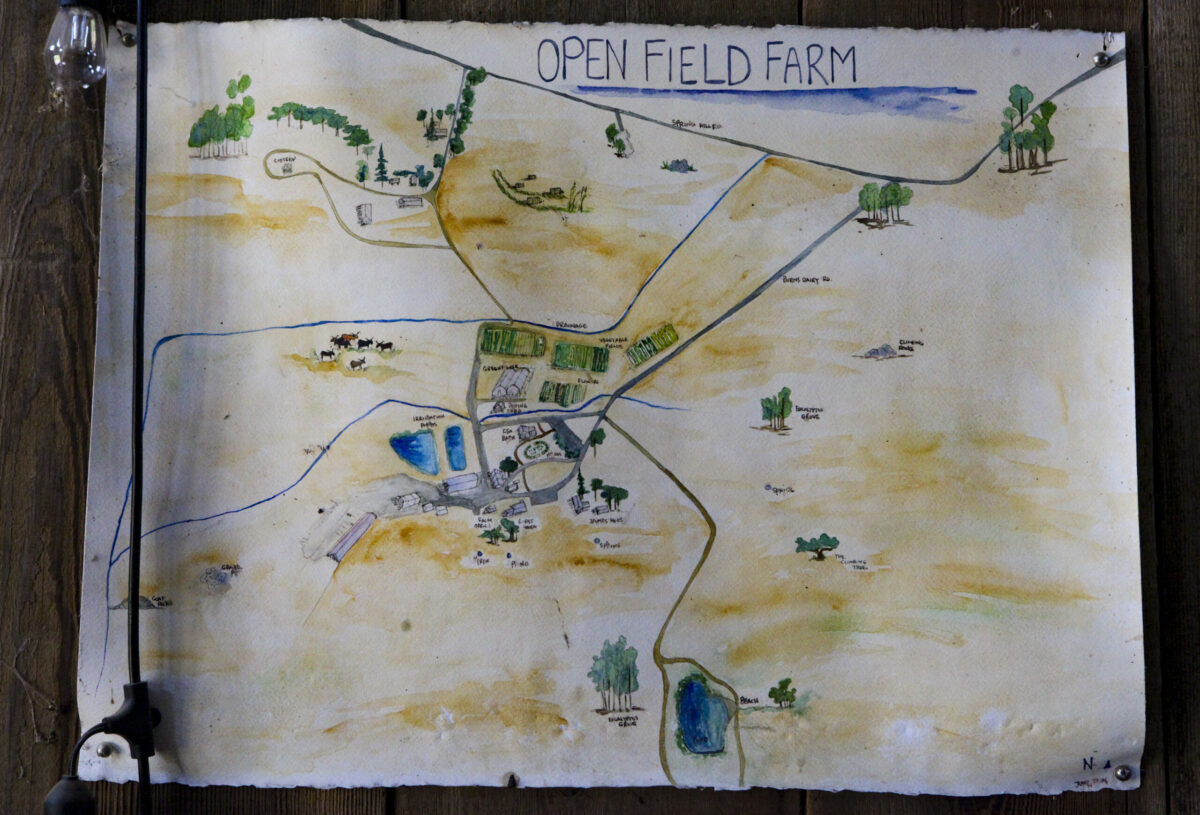Open Field Farm in rural Petaluma._Wednesday, June 02, 2021, Petaluma, CA, USA._(CRISSY PASCUAL/ARGUS-COURIER STAFF)