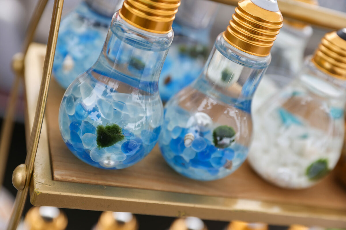 Marimo moss balls, from Japan, for sale at Ana Prado's Blooming Coast booth at the Santa Rosa Original Certified Farmer's Market in Santa Rosa, Wednesday, Aug. 9, 2023. (Christopher Chung / The Press Democrat)