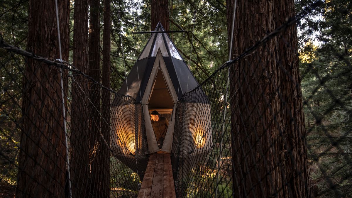 Entrance to Artistree’s Compass treehouse in Occidental.
