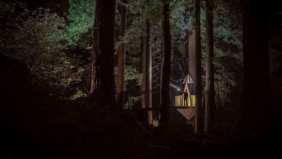 Artistree’s Compass treehouse in Occidental. (Jayson Carpenter)