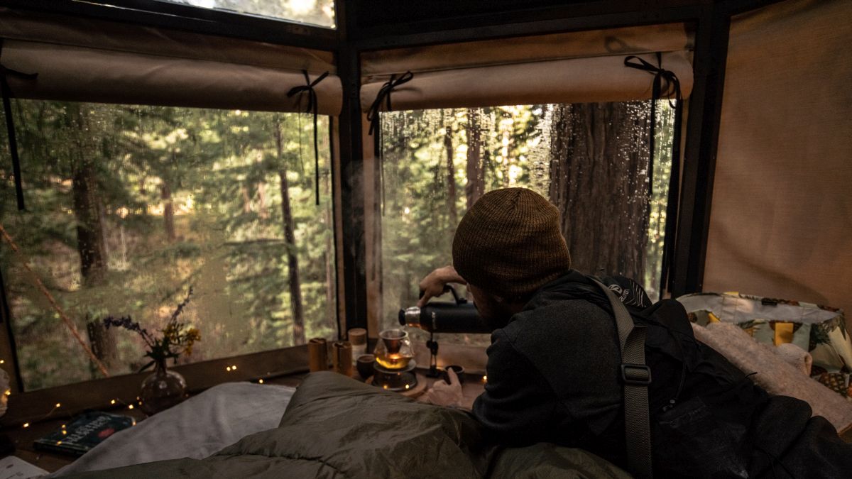 Inside Artistree’s Compass treehouse in Occidental.