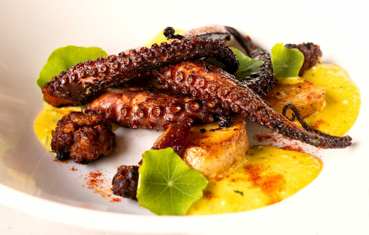 Charred Octopus with paprika sausage, fingerling potatoes and sauce gribiche from Tisza Bistro chef/owner Krisztian Karkus Monday, February 12, 2024 in Healdsburg. (Photo by John Burgess/The Press Democrat)