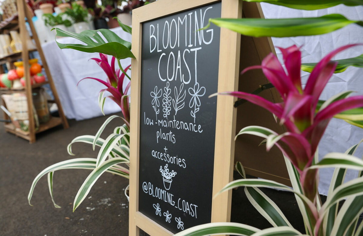 Ana Prado's Blooming Coast booth at the Santa Rosa Original Certified Farmer's Market in Santa Rosa, Wednesday, Aug. 9, 2023. (Christopher Chung / The Press Democrat)