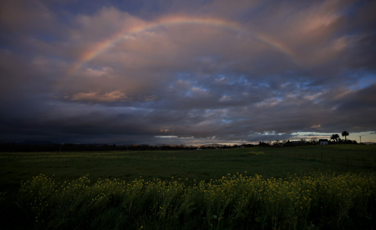 Just enough rain for a rainbow to pop over the Laguna de Santa Rosa near Sebastopol. (Kent Porter / The Press Democrat)