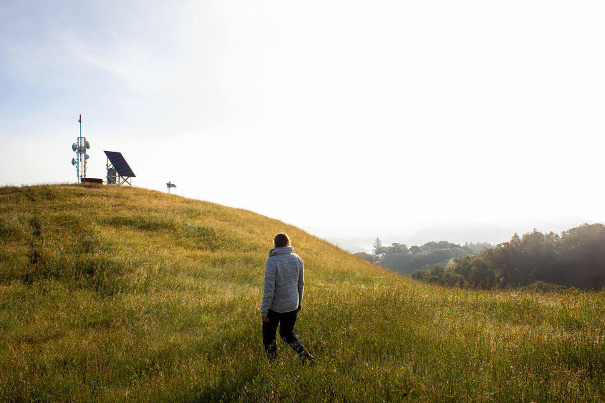 Every May at Pepperwood Preserve in the Mayacamas, researchers have been studying the same square-meter grassland plots, down to the centimeter, for the past 13 years. (Eileen Roche/For Sonoma Magazine)
