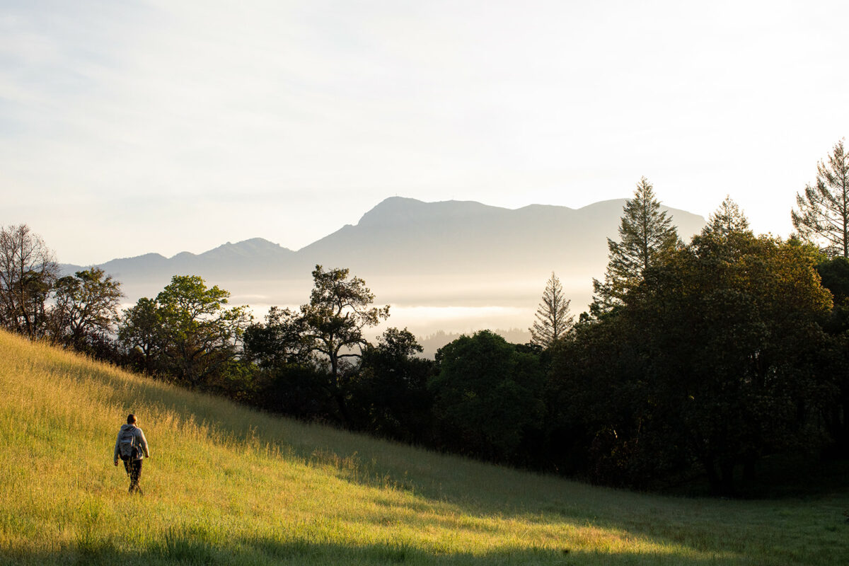 At Pepperwood Preserve in Santa Rosa. (Eileen Roche/For Sonoma Magazine)