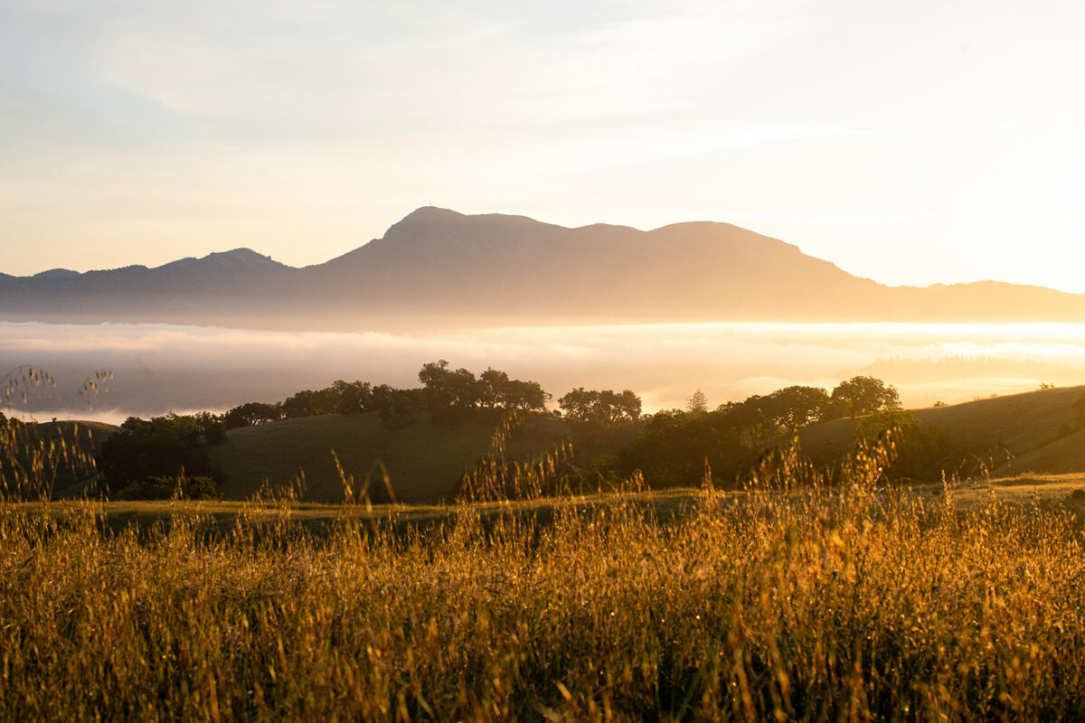 Sunrise at Pepperwood Preserve in Santa Rosa. (Eileen Roche/For Sonoma Magazine)