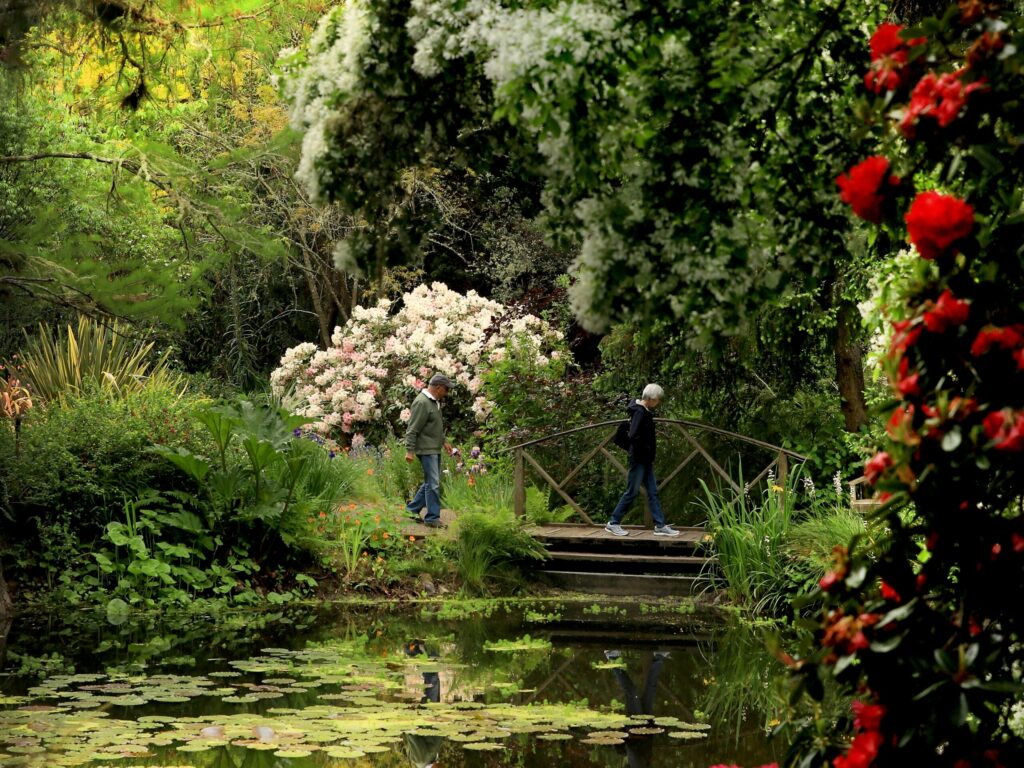 6 Serene Gardens in Sonoma County