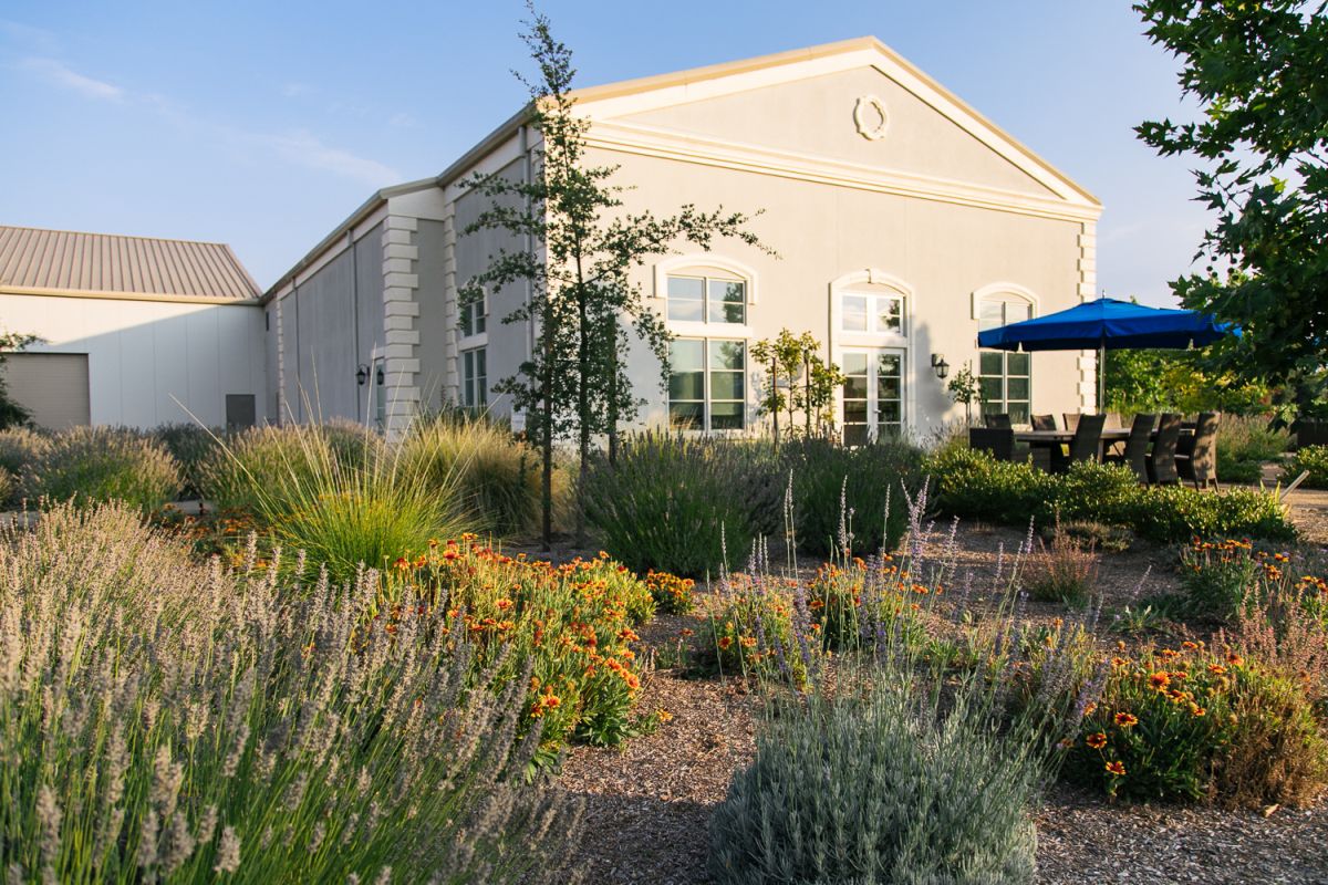 Materra Cunat Family Vineyards in Napa