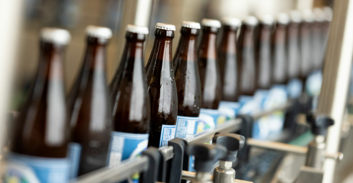 The 20th anniversary 2024 Pliny the Younger triple IPA heading down the bottling line at the Russian River Brewing Co. in Windsor, Tuesday, March 19, 2024. (John Burgess / The Press Democrat)