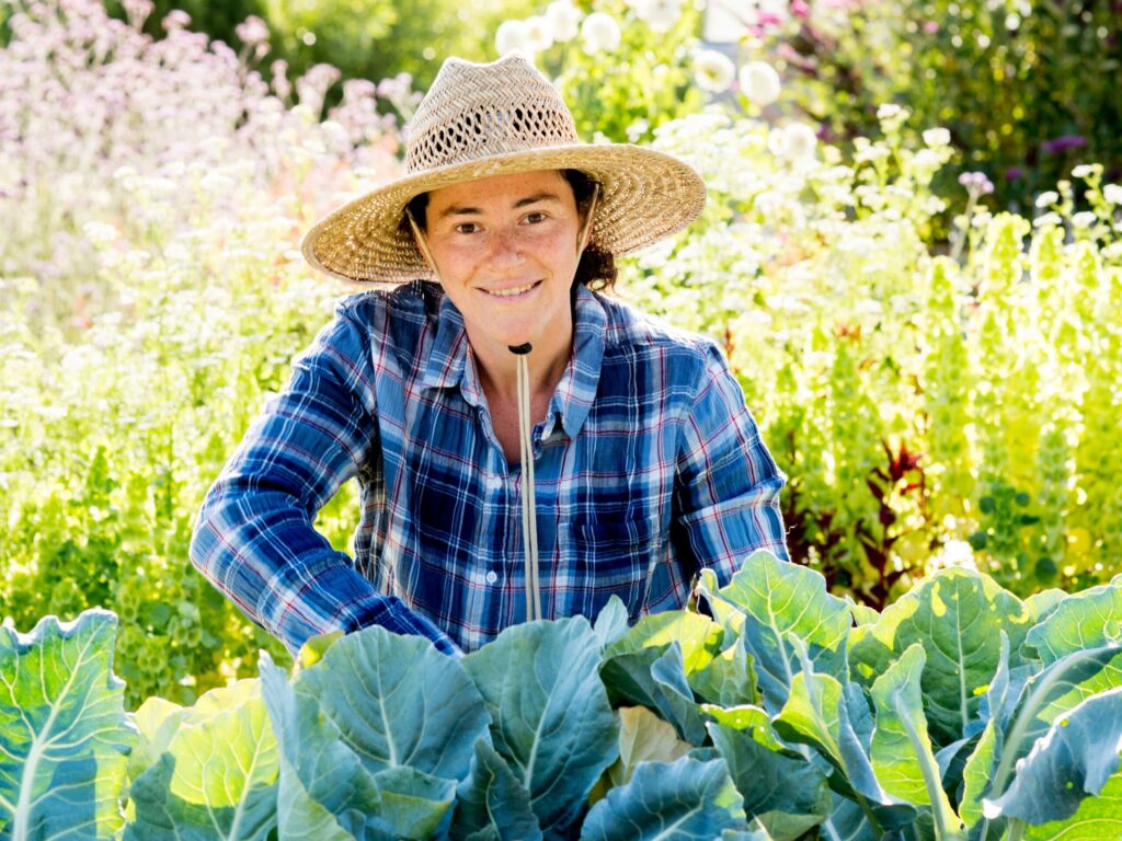 A Beginner's Guide to Starting a Vegetable Garden in Sonoma