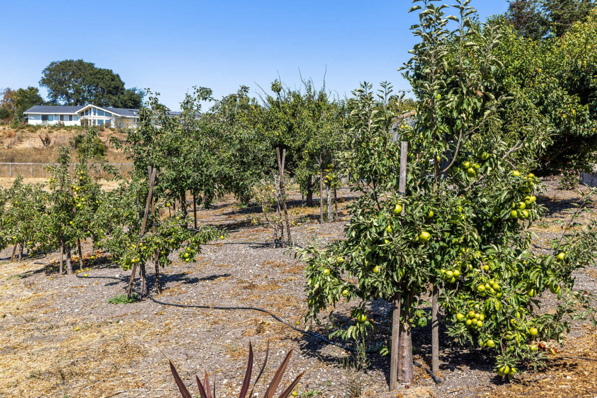 200 Frances Way in Petaluma