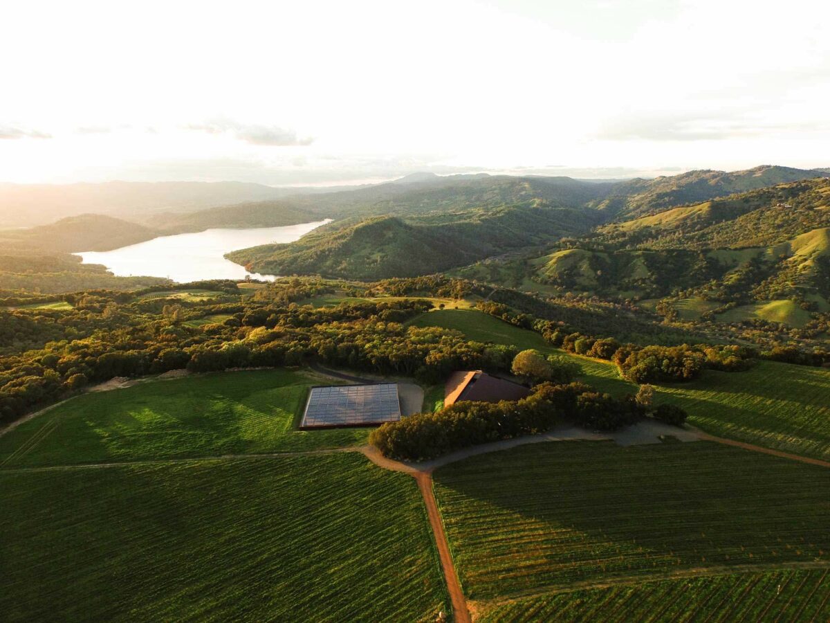 Chappellet's vineyards on Pritchard Hill in the eastern range of Napa Valley overlook Lake Hennessey. (Courtesy of Chappellet)