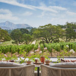 Guests can now enjoy exclusive wines from the onsite vineyard, made by star winemaker Jesse Katz. 